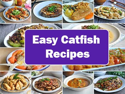 32 Easy Catfish Recipes You Will Love to Make!